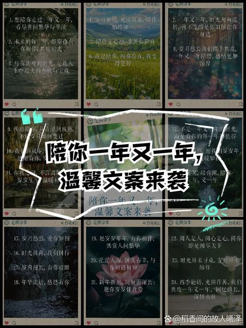 陪我走过春夏秋冬文案_1