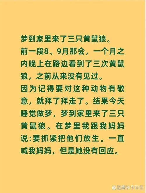 孕妇梦见黄鼠狼是什么意思_2