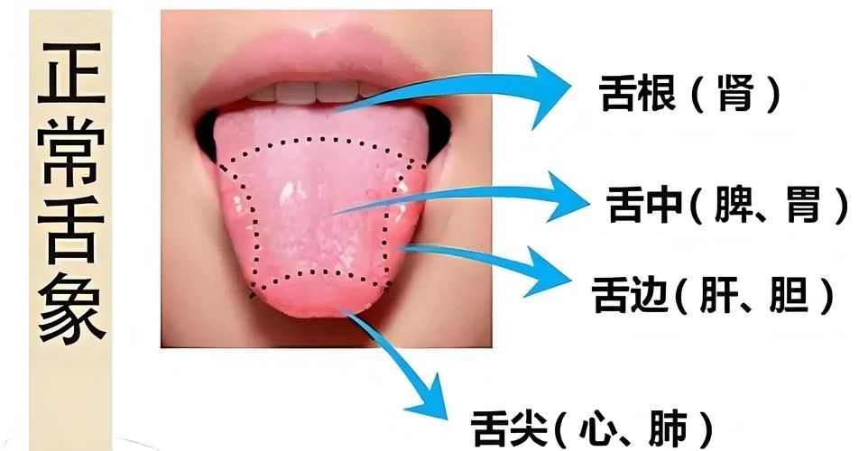 大舌完出处_1