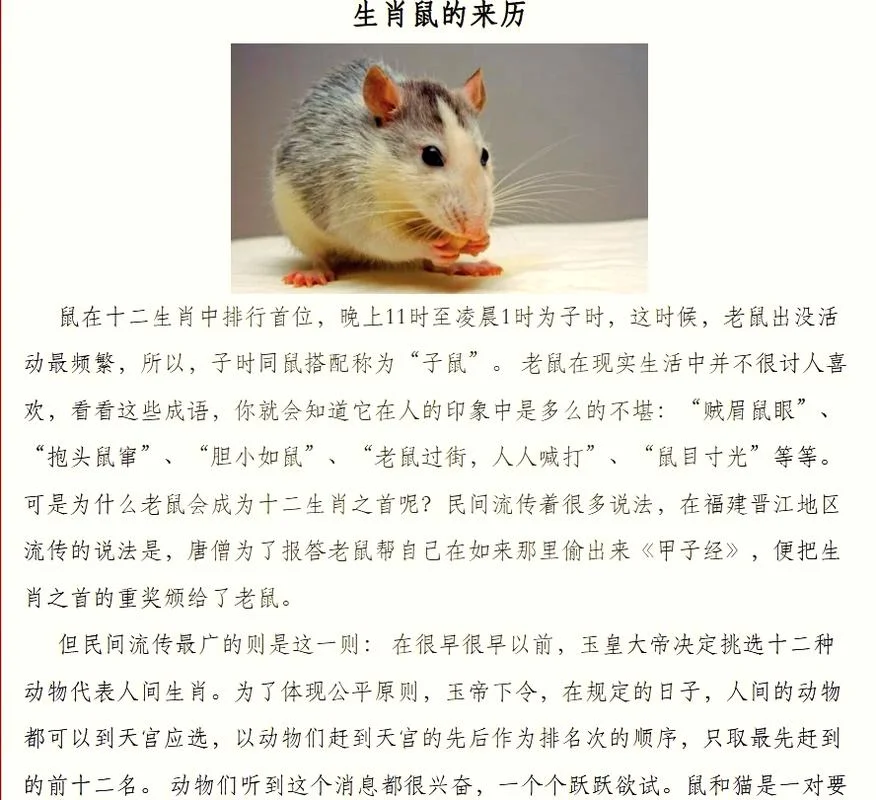 做梦有老鼠是什么意思-梦见老鼠有何含义