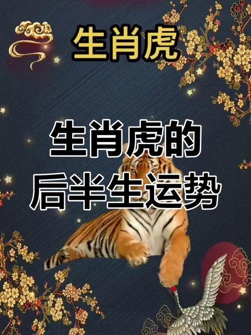 虎人今年运势_2