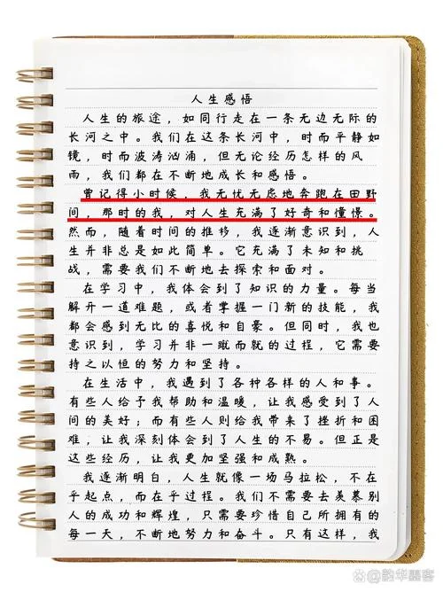 心情美文欣赏人生感悟_2