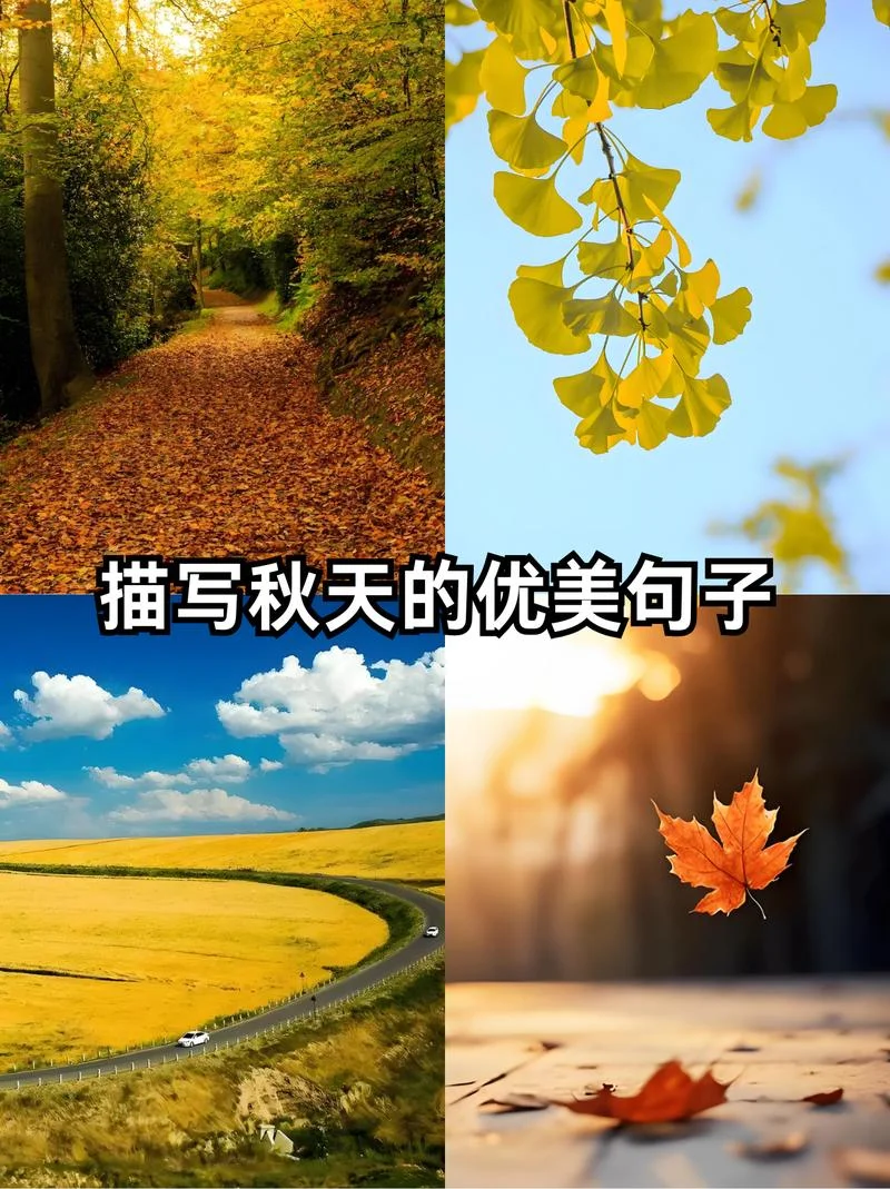 关于风景的说说感悟_1