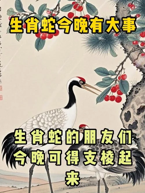 买吗今晚出什么生肖-今晚出什么生肖