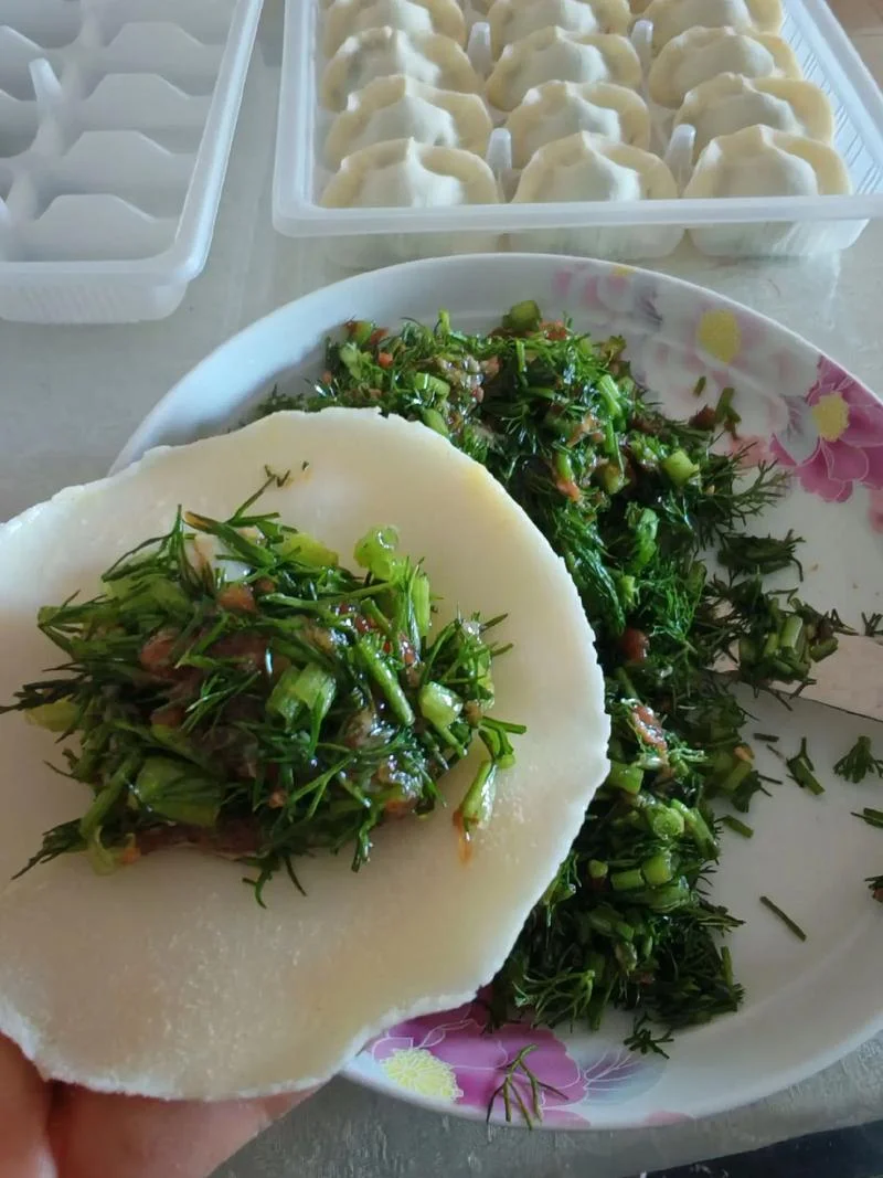 做梦梦见吃茴香馅饺子_1