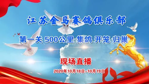 金马直播是干什么的_2