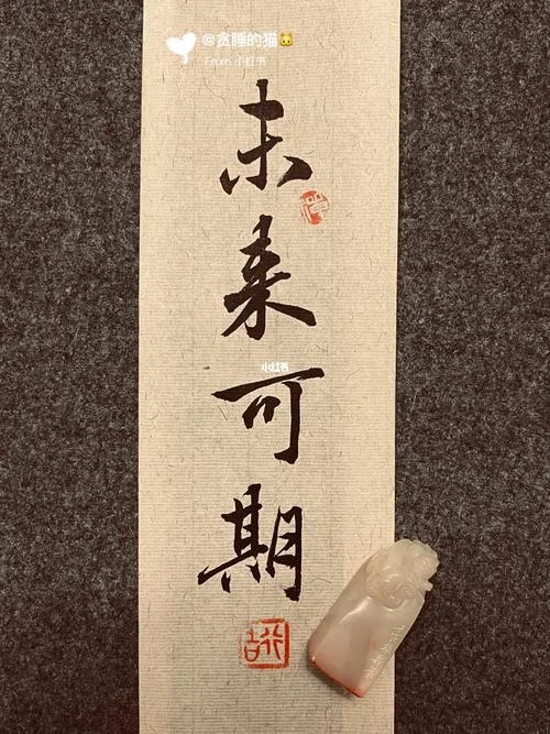 未来可期上一句是什么_1