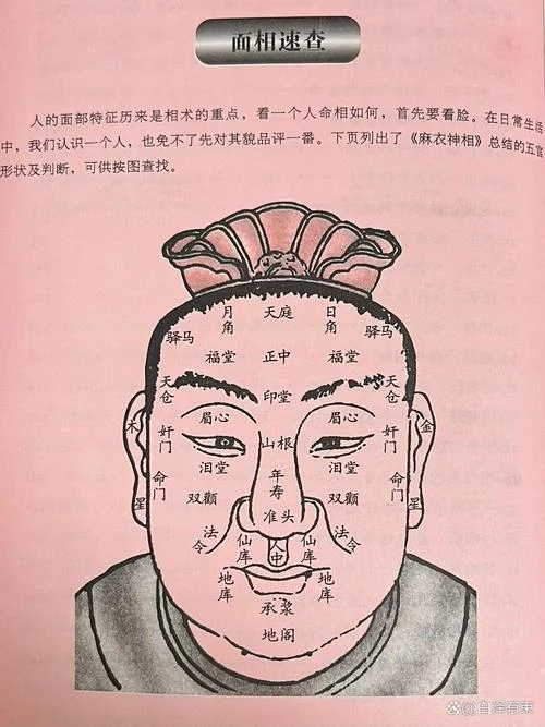 面相看官运-面相观官运