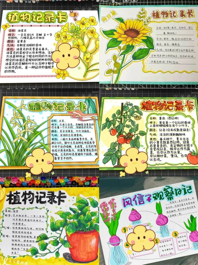植物观察记录文案_1