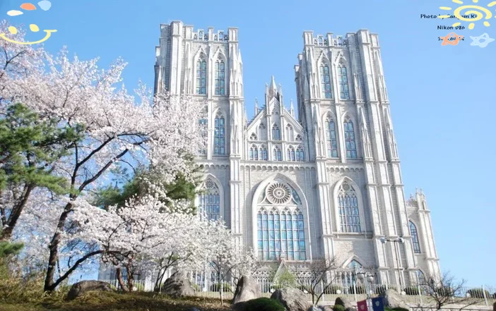 韩国的公办大学有哪些-韩国公办大学有哪些