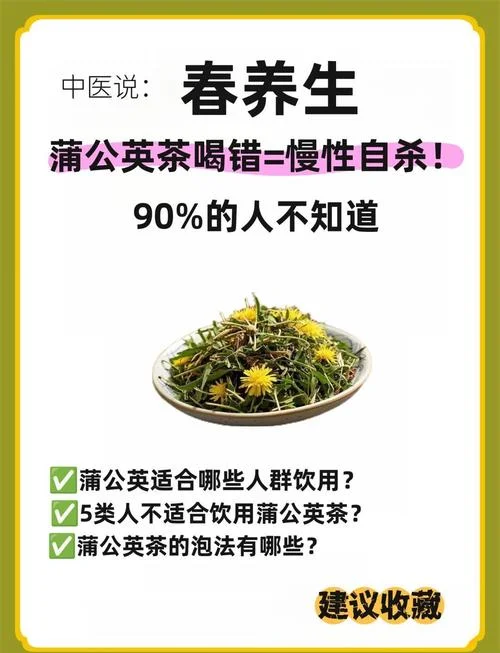 蒲公英茶制作的感悟_1