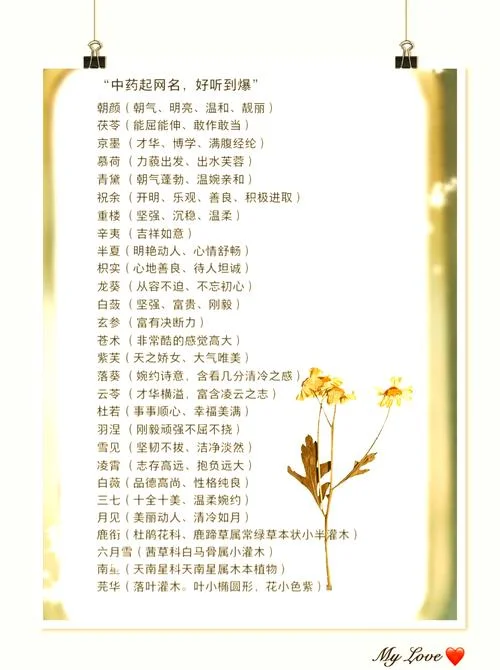 给壮阳药起名字_1