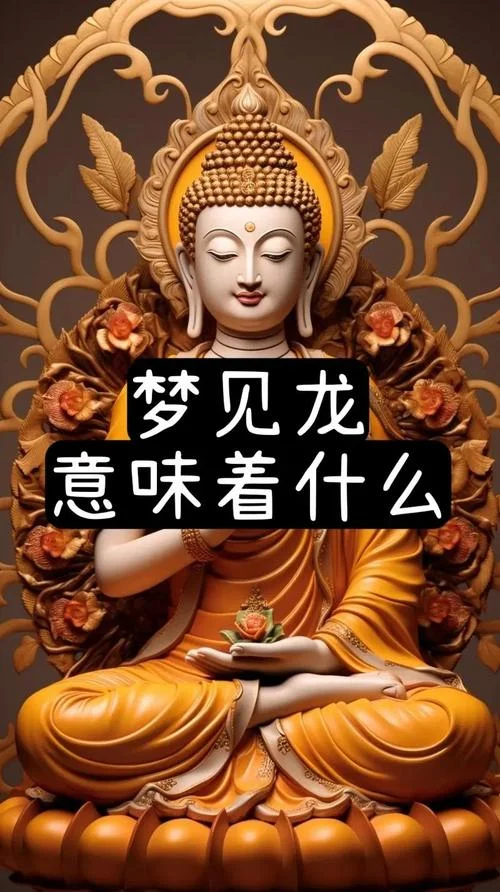 睡觉梦见龙_1