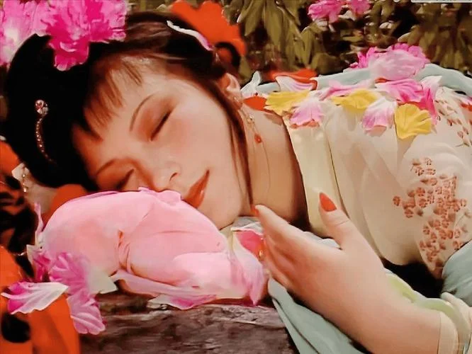 史湘云判词是谁写的_1