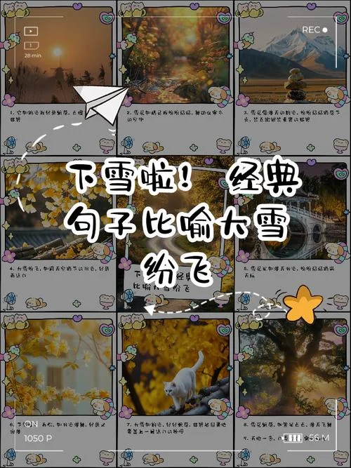 阳春白雪下里巴人文案_1