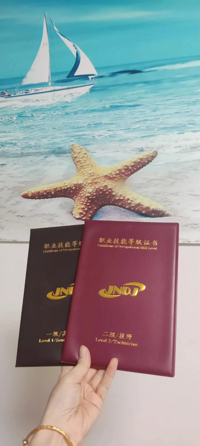 行业技能证书查询-行业技能证书查询