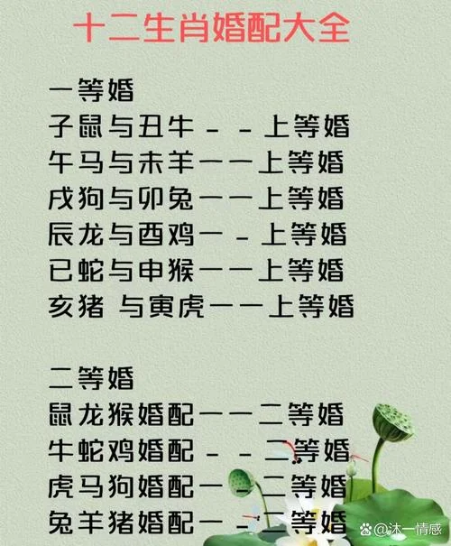 91属相配什么生肖_2