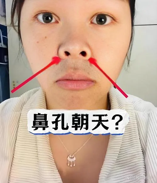 鼻子漏孔面相的女人-漏孔鼻女人面相