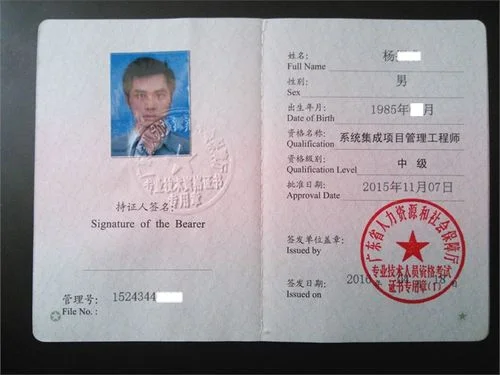 计算机系统集成项目管理工程师_1