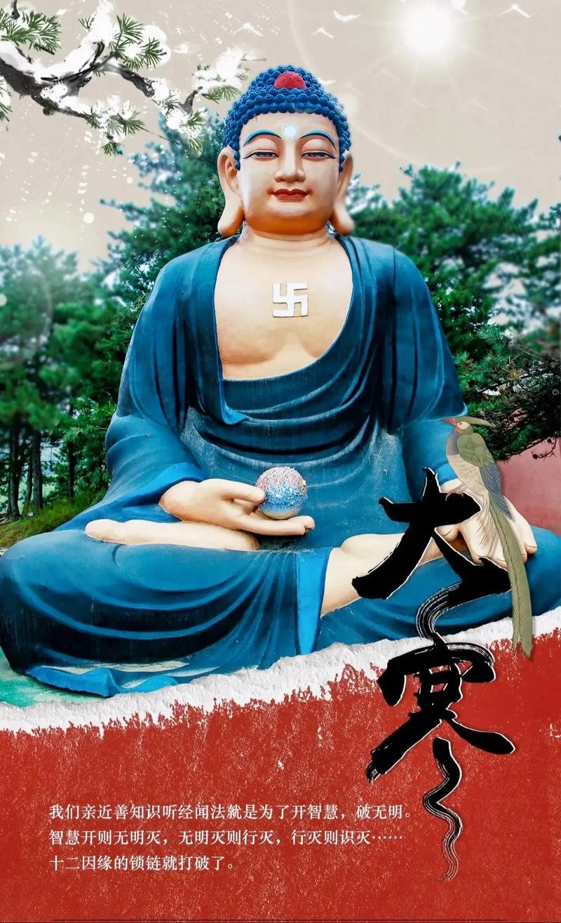 无明缘行出自_2