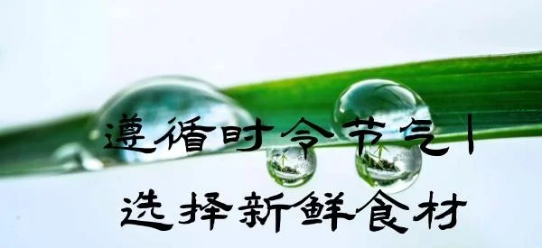 不时不食出自哪里_2