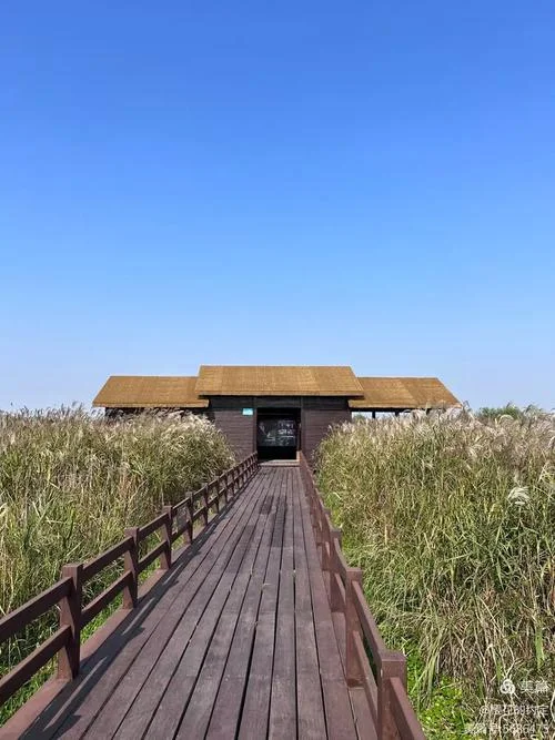 杭州湾旅游景点_2