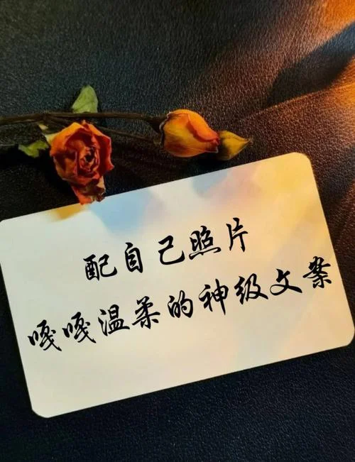 发自拍的高级文案_1