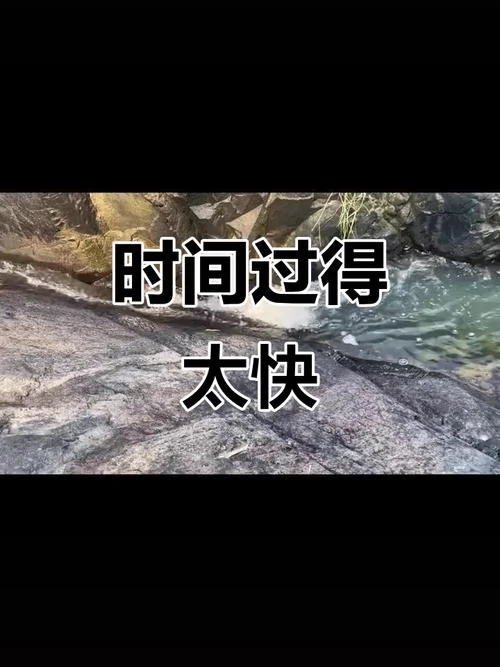 看时光飞逝如马下一句_2