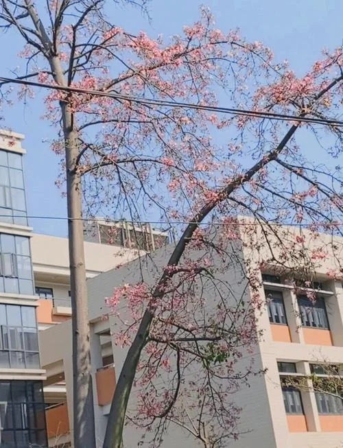 华工考研北邮-华工考北邮