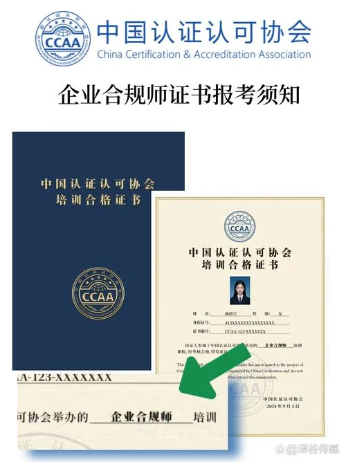 国家认证的证书查询-国家认证证书查询