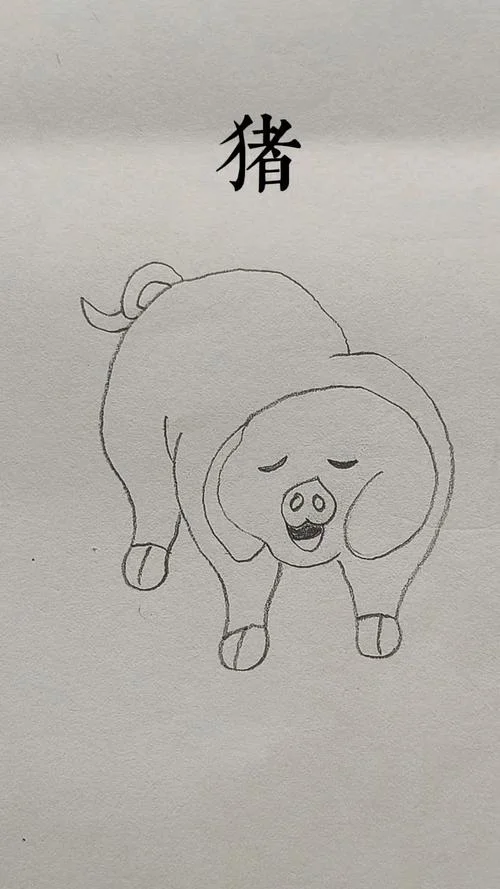 猪的图片可爱简笔画_1