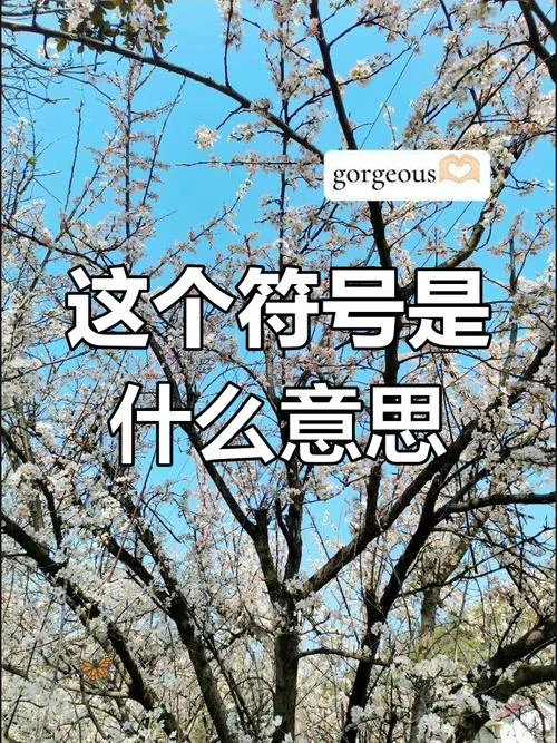 这是什么意思表示_1
