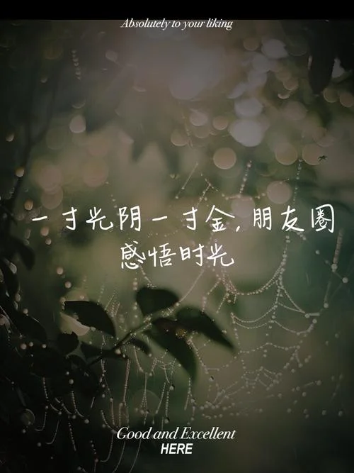 朋友圈感悟_1