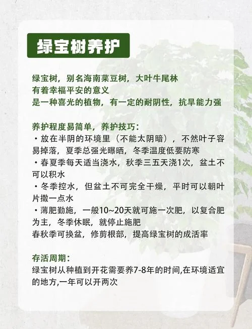 绿树成荫的意思和出处-绿树成荫释义