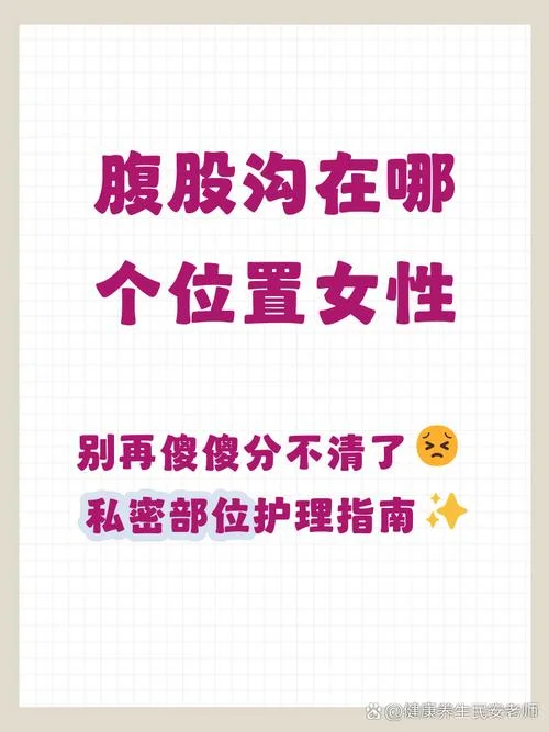肚子下面两边叫什么沟_1