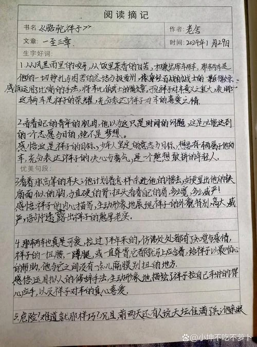 名著摘抄加感悟_2