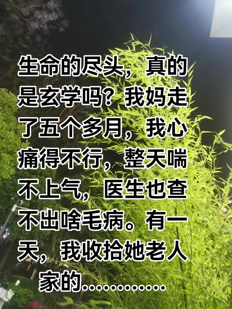 面对生老病死的感悟-生死感悟
