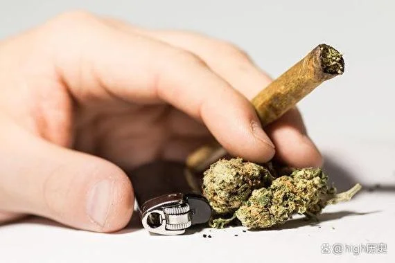 美国留学大麻_1
