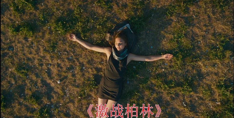 激战柏林电影剧情介绍_2