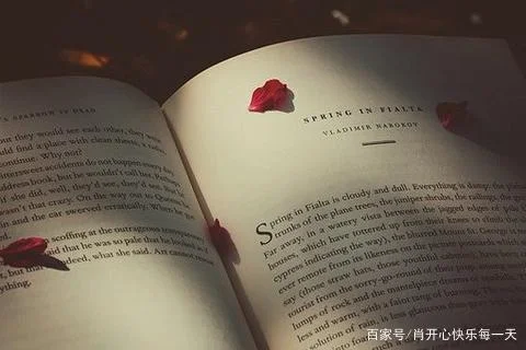 芝麻开门的上一句_1