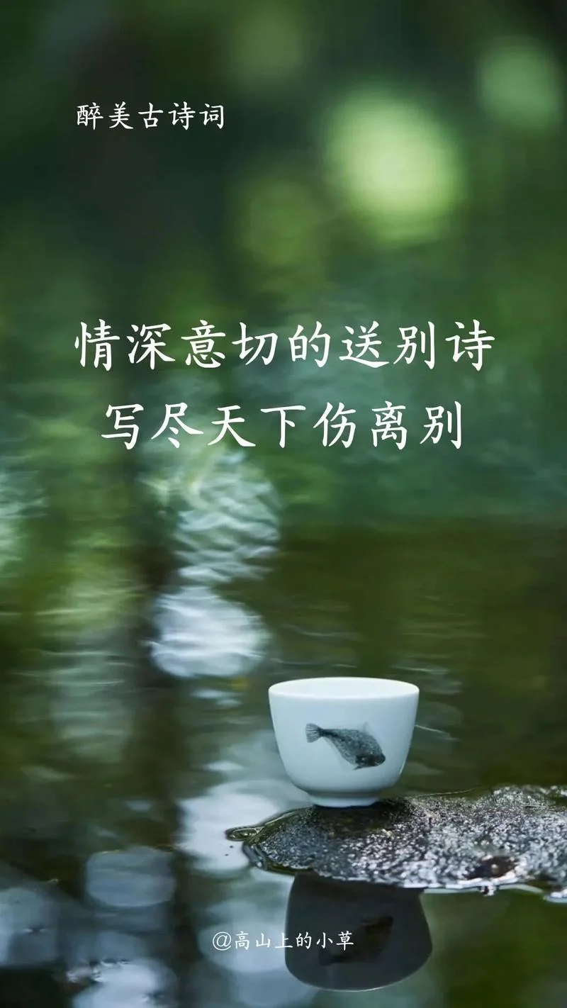 关于告别的诗句加感悟-告别诗句加感悟