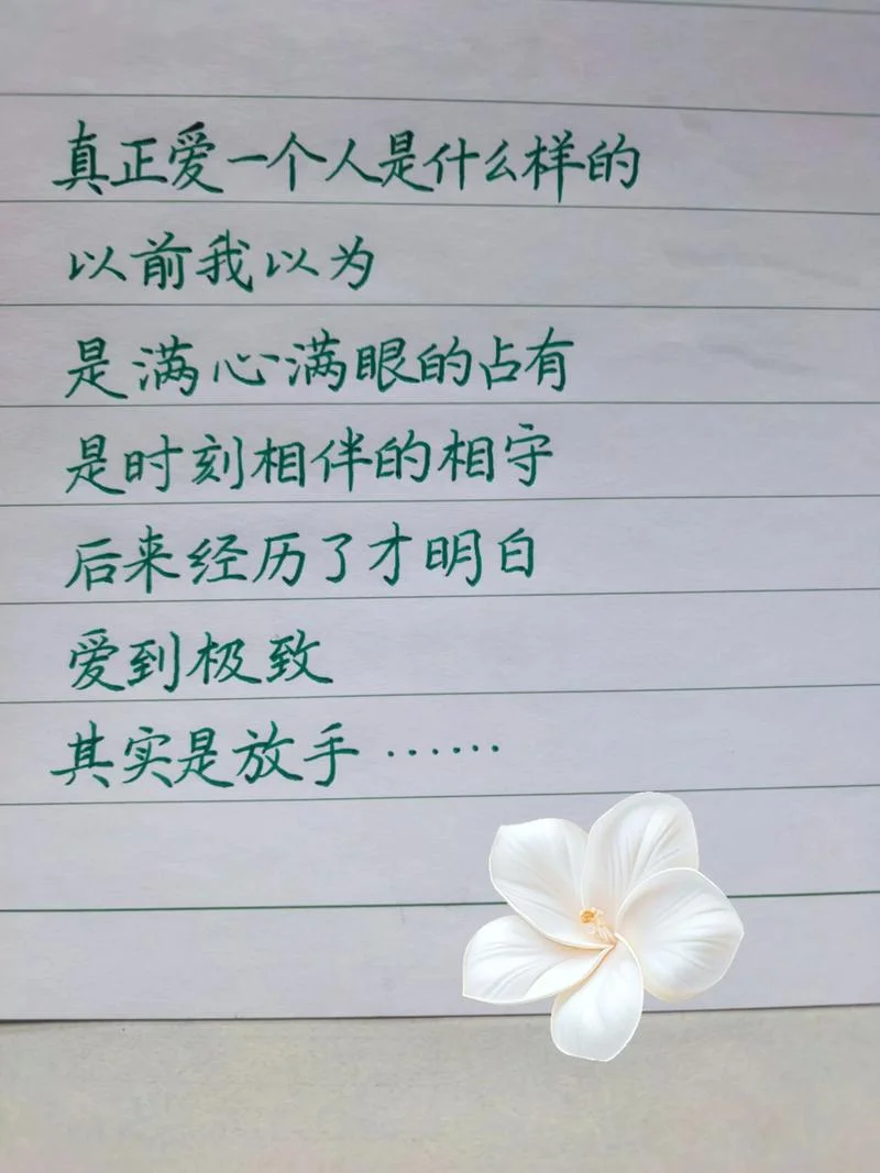 人生与爱的感悟_1