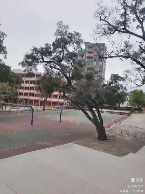佗城中学_1