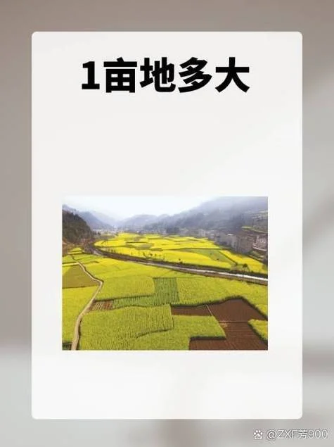 1.2公顷等于多少亩_1