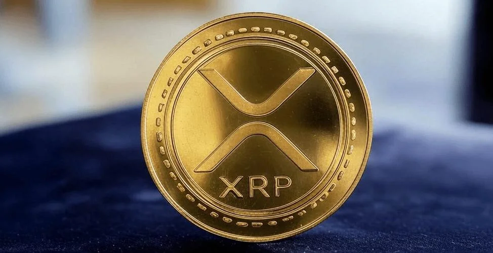 xrp是什么币中文叫什么-XRP中文名瑞波币