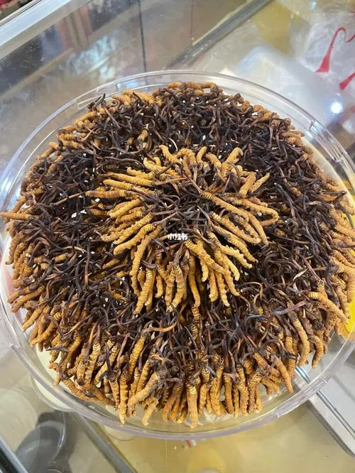 摆盘的草叫什么_1