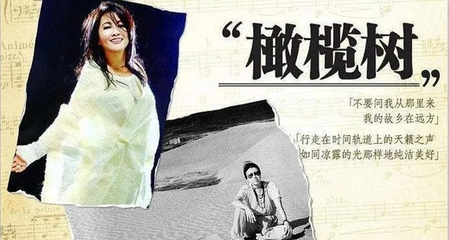 歌曲橄榄树是谁写的_2