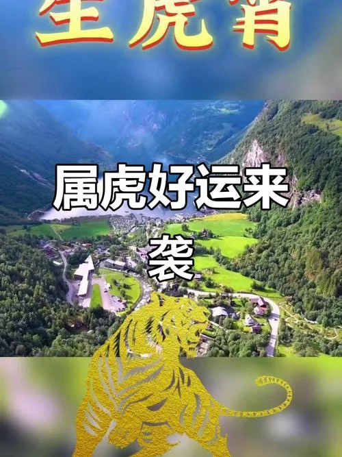 属虎人在龙年运势怎么样_1