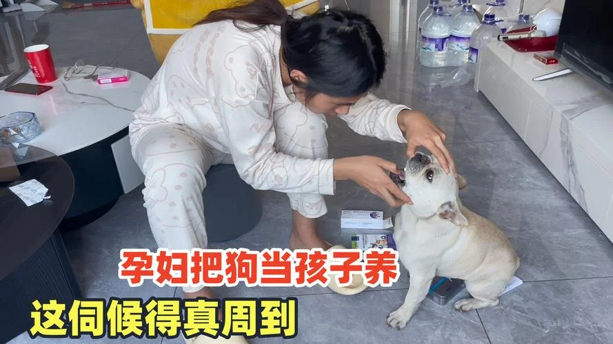 孕妇梦见小狗来家里-孕妇梦小狗入户