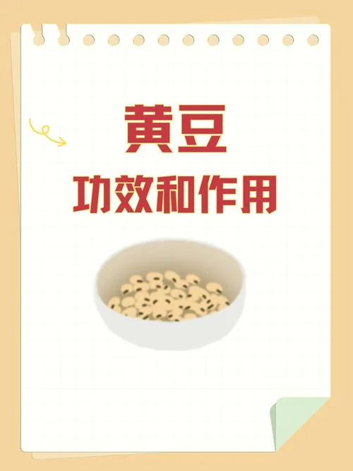 大豆为什么是碱性食物_1